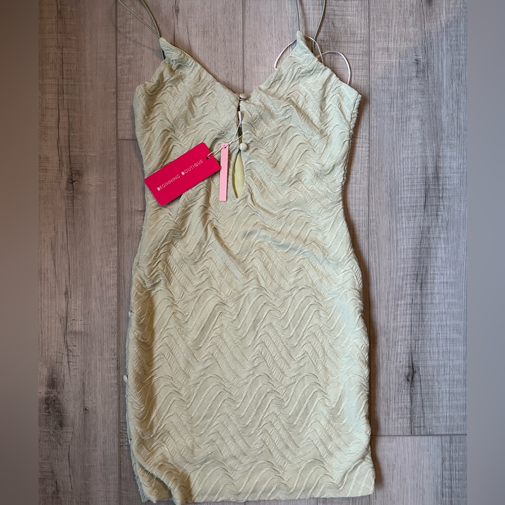 Beginning boutique mini dress